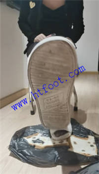 toetu35gubk.jpg