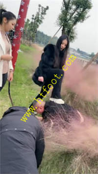 q5ji02qtyyl.jpg
