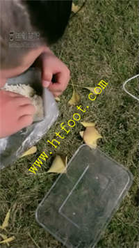 4ekdii3obi4.jpg