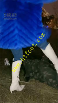 2pmncc5ifvl.jpg