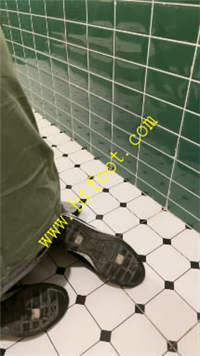 np2pfhjpyvy.jpg