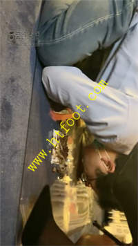 hlz1njtya5c.jpg