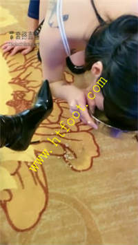 lhys4lzzvd1.jpg