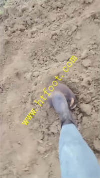 qsbetoyawsq.jpg
