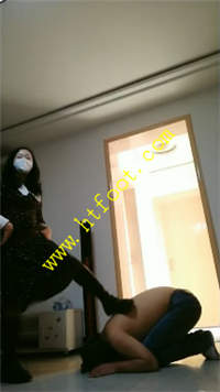 skyx4fibcor.jpg