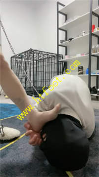 od4bv1noxfw.jpg