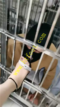 0ap0kw0fhyl.jpg