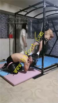 pzhr4pm5vxx.jpg