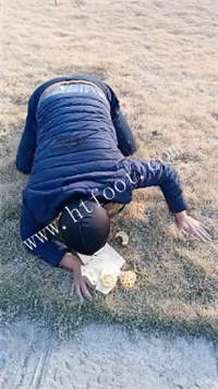 30fhhqp25go.jpg