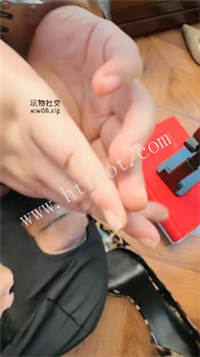 shxqrlv2ept.jpg