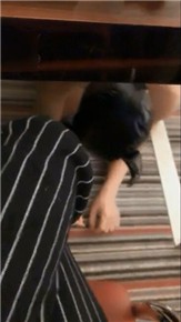 plglmo54mlo.jpg