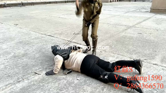 vrcmwqapv11.jpg