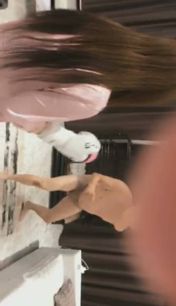 y0r4kr41jld.jpg
