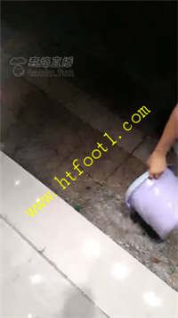 refp3rxigtw.jpg