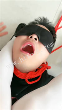 e3qhtmkru2o.jpg
