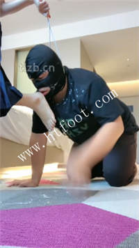 dbbgoc53x02.jpg