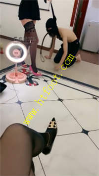 b5qpjxyq335.jpg