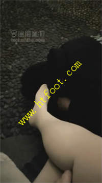 a2bdgzooqlr.jpg