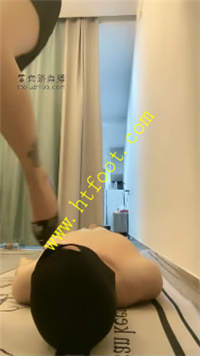 d2t213seogb.jpg
