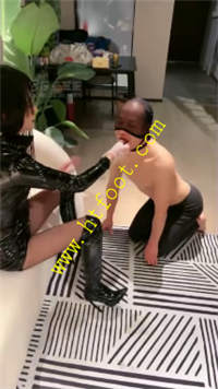 hh15iehzfpx.jpg