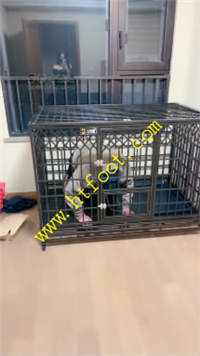 hwxiwrv532e.jpg