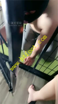 4tgmxygqfmx.jpg