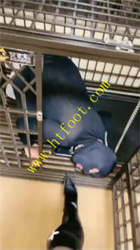 bip03lwcmo1.jpg