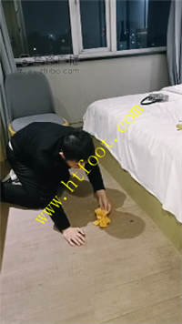 nlgauv2gird.jpg