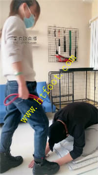 4ynbf1agxm2.jpg