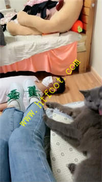 j2oc3ga40wi.jpg