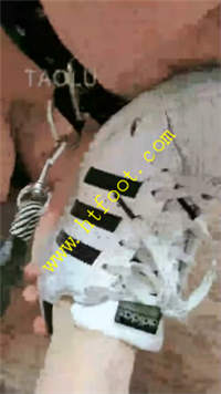 gzjkopdyyxn.jpg
