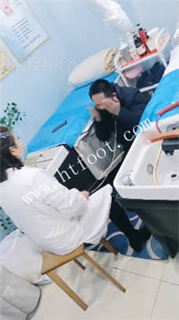 ufx4oc5cwkr.jpg