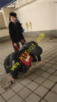 vs2yfrkvfvj.jpg