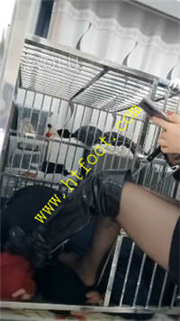 3y5354p01p5.jpg