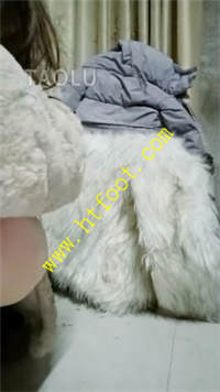 p1dlxc5b2ls.jpg