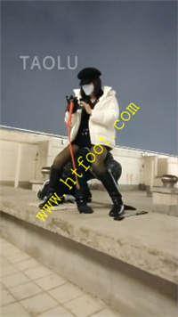 ool13iltkd3.jpg