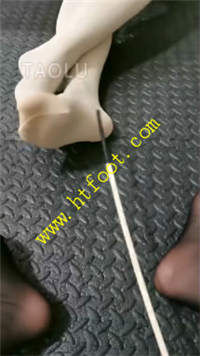 yq0tnt5cskr.jpg