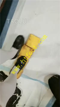 jhzdtoyerez.jpg