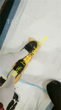 a1kewwl03wr.jpg
