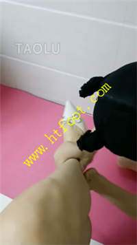 avvxge0p122.jpg