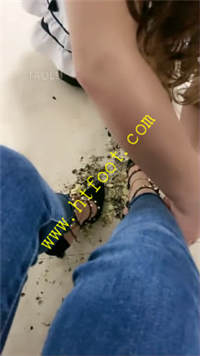 gcedcfi5bdl.jpg