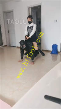 pzig0qsj3bn.jpg