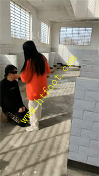 wudy3q52p4m.jpg