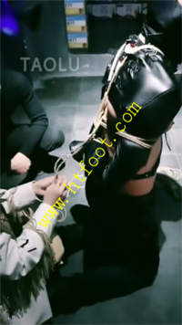 gn43x2b5j5p.jpg