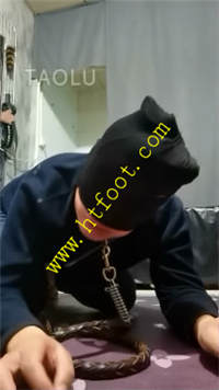 c2ismqe3cfh.jpg
