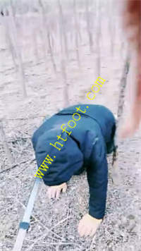 srknrrmf0fv.jpg