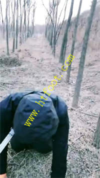 gsgu1yeftpc.jpg