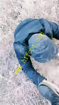 c53jxnburak.jpg