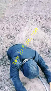 tq3u1fs5ndh.jpg