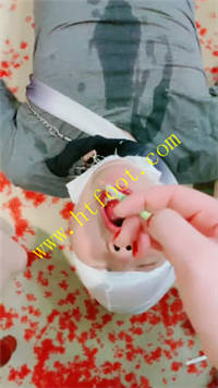 jtrhal432hd.jpg